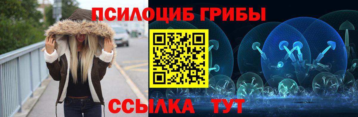 цены наркотик  Вход с VPN  Топки  Псилоцибиновые грибы Cubensis 